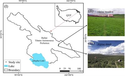 Soil Moisture Variations in Response to Precipitation Across Different Vegetation Types on the Northeastern Qinghai-Tibet Plateau